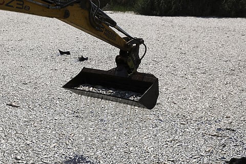 Climate Crisis Greece